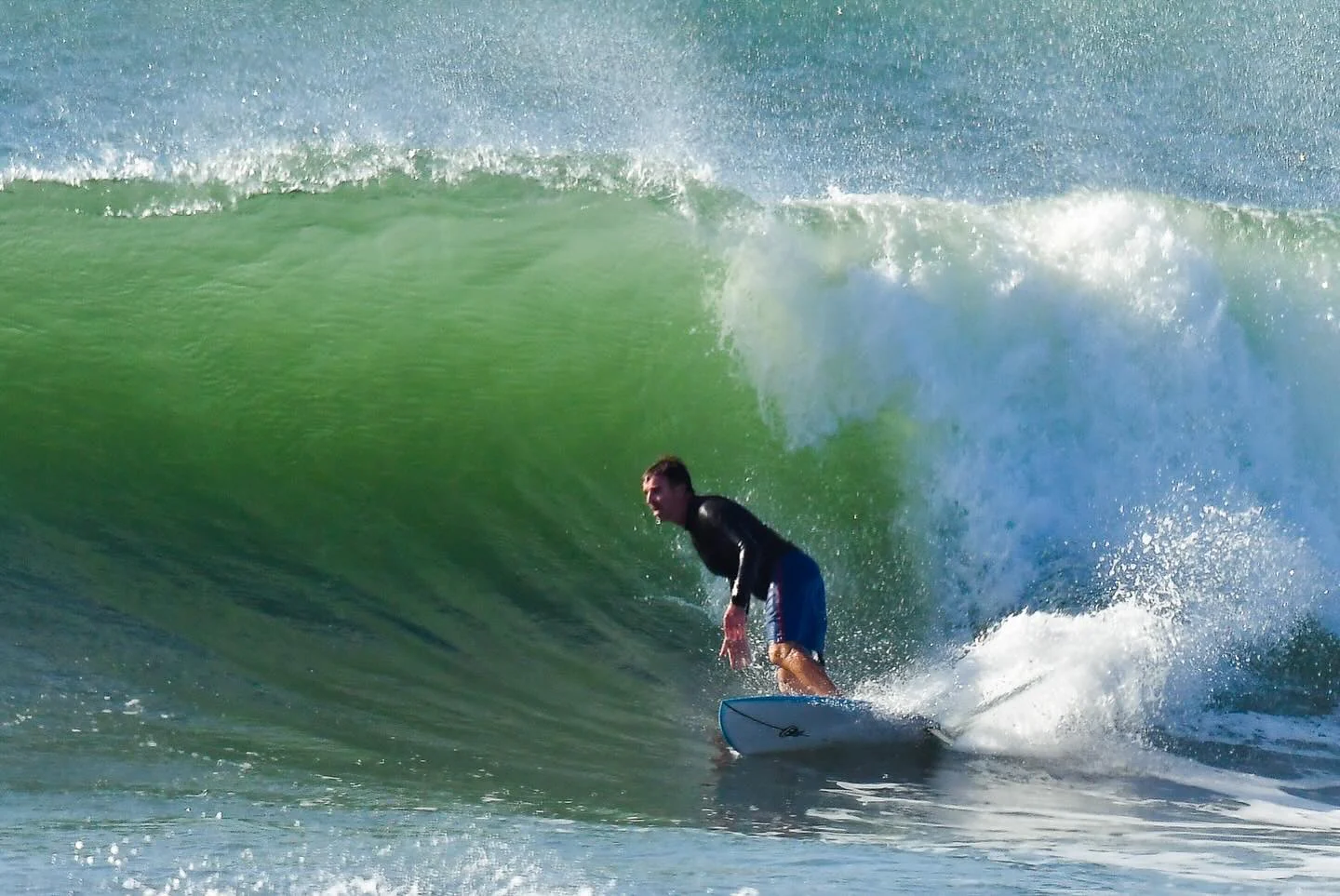 Mark Phipps Surfboards Super Bad Egg Preorder - Image 9